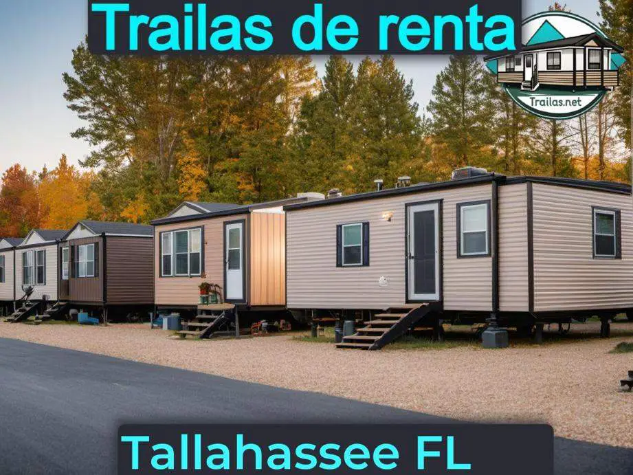 ▷ ¡Trailas y casas de renta para vivir en Florida! (2024)